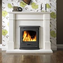 Tiger Inset Stove